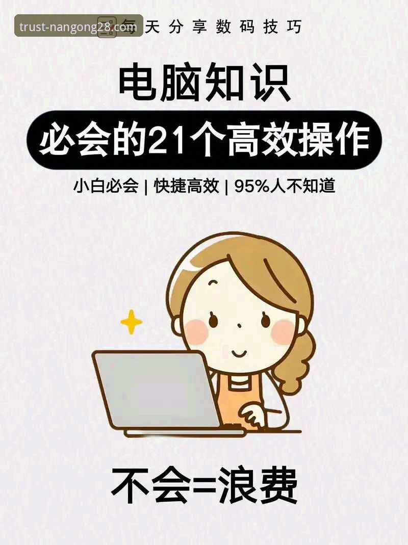 资深用户分享：南宫28官网历史版本使用技巧，这些细节让你效率翻倍